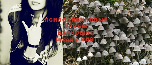 винт Арсеньев